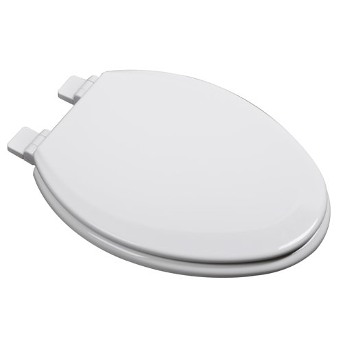Bath Décor Elongated Soft Close Toilet Seat and Lid & Reviews Wayfair